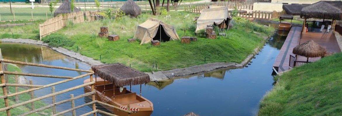 Zoológico do Rio reabre ao público nesta quinta após mortes de aves