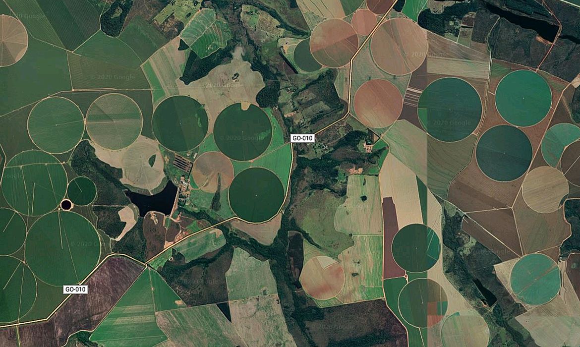 OAB Barro Preto - Suspensão da Moratória da Soja pelo Cade preocupa Meio Ambiente