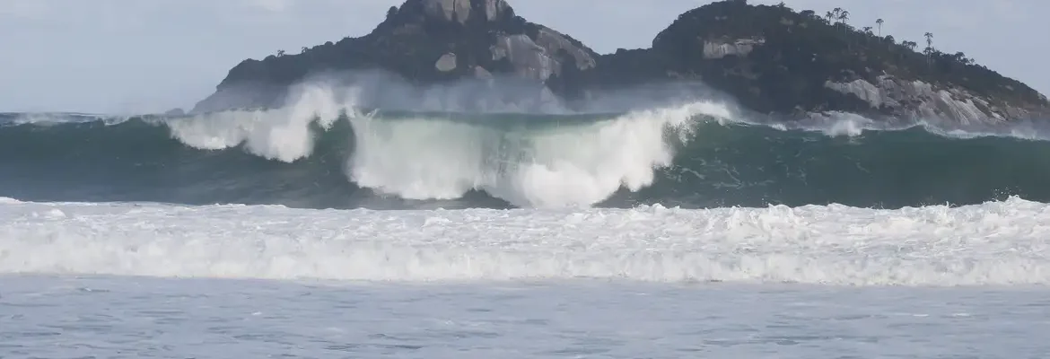 Jovens de 9 países participam de curso de pesquisas oceânicas no Rio